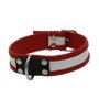 Addikt Smooth Leather Collar: White & Red