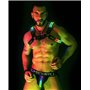 BREEDWELL Rainbow Glow Bulldog Harness